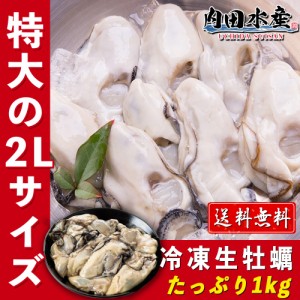 【送料無料】 冷凍生カキ1kg（加熱用） 特大２Lサイズ 冷凍便 業務用 食品ロス 広島かき 広島産 かき カキ 牡蠣 おうちご飯 海鮮 BBQ　酒