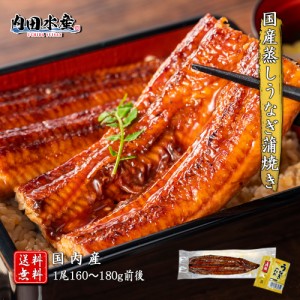 【送料無料】 ”国産蒸しうなぎ蒲焼き1尾” 1尾160〜180g前後 うなぎ ウナギ 蒲焼き 無頭 国産 水産加工品 蒸し 職人 ギフト 敬老の日