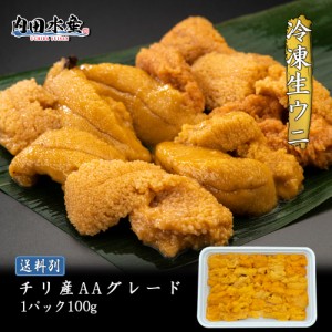 【送料別】”冷凍生うに100g” うに ウニ 雲丹 チリ産 1~2人前 お刺身 寿司  海鮮丼 うに丼 食品  市場 同梱 母の日 父の日 ギフト