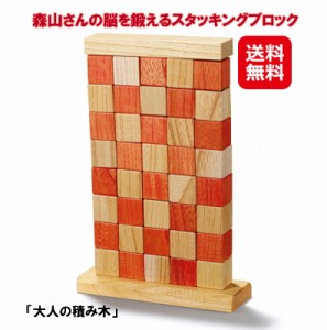 立体パズル 木製 大人 脳トレ ボケ防止 高齢者 送料無料 【森山さんの脳を鍛えるスタッキングブロック】【送料無料】 大人の積み木 森山