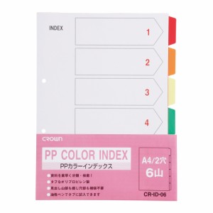 ＰＰカラーインデックスＡ４縦　１組