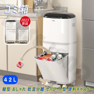 ゴミ箱 42L 縦型 おしゃれ 分別 ２個組 乾湿分離 ふた付き ペダル開閉 引き出し 隙間 収納ボックス スリム キャスター 移動便利 大容量 