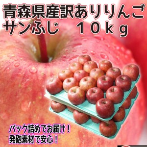 青森県産　訳あり　りんご　サンふじ　24-46玉　10kg　　送料無料！