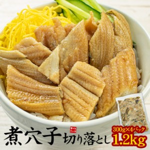 煮穴子 切り落とし 1.2kg(300g×4パック) ※中国産 真穴子 [[煮穴子切り落とし-4p]