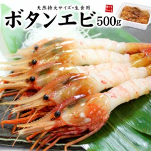 超特大ボタンエビ500g（9〜12尾） ぷりっぷり、甘みたっぷりの天然ぼたんエビ 送料無料 [[ぼたんエビ500g]