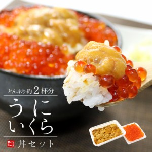 無添加生ウニ いくら醤油漬け 絶品海鮮丼セット どんぶり約2杯分 [[ウニイクラセット-1p]