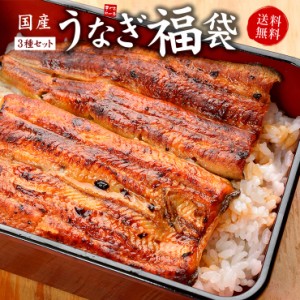 国産うなぎ福袋（長蒲焼き160〜170g、きざみうなぎ80g、うなぎ肝串焼き2本）送料無料 タレ・山椒つき〈ue1〉[[国産うなぎ福袋]