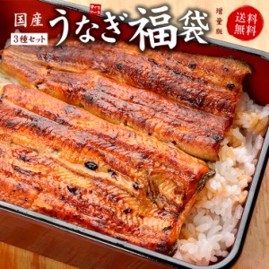 国産うなぎ福袋 増量版 送料無料（長蒲焼き160〜170g×2、きざみうなぎ80g×2、うなぎ肝串焼き4本）〈ue1〉[[国産うなぎ福袋-2p]