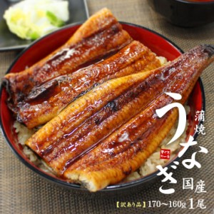 国産うなぎ長蒲焼き1尾(160g〜170g) 訳あり品 タレ・山椒つき [[ウナギ長蒲焼き-1p]