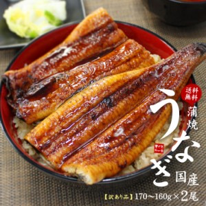 国産うなぎ長蒲焼き(160g〜170g)×2尾セット 訳あり タレ・山椒つき 送料無料〈ue1〉[[ウナギ長蒲焼き-2p]