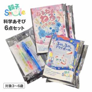 科学あそび 6点セット 3種×2 親子Smile 科学 サイエンス 変化 ぷにゅぷにゅアクアボール ねるねるねるバスボム 水で洗える光るクレヨン 