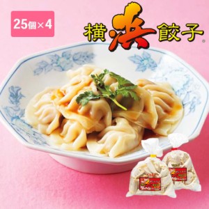 横浜餃子 25個×4 マイルド ピリ辛 横浜 行列のできるラーメン屋さん おいしい 餃子 ぎょうざ ギョウザ 餃子専門 業務用 鹿児島産黒豚 国