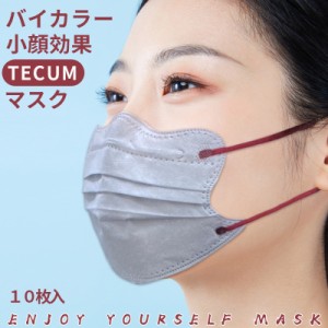 4Dマスク バイカラー 小顔マスク 血色マスク 小さめ 小顔 効果 99%カット 立体マスク カラー 送料無料 10枚入 TECUM MASK 小顔マスク 血