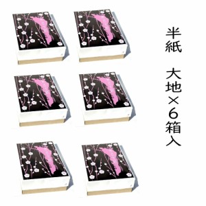 【ポイント20倍】 書道 半紙 大地 1000枚×6箱セット 漢字用 機械漉き 自然色 厚口 | 書道用品 書道用紙 書道半紙 書道セット 習字 教室 