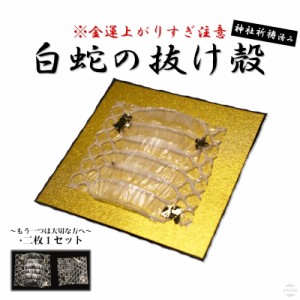 白蛇 二つ１セット 抜け殻 白ヘビ 開運 金運アップ 祈願済み 白へび 蛇 抜殻 縁起物 本物 宝くじ 金運 開運 お金 金 浄化 脱け殻 祈願 神