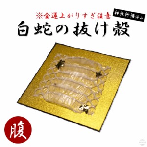 白蛇 腹部 抜け殻 白ヘビ 開運 金運アップ 祈願済み 白へび 蛇 抜殻 縁起物 本物 宝くじ 金運 開運 お金 金 浄化 脱け殻 祈願 神社 財布 