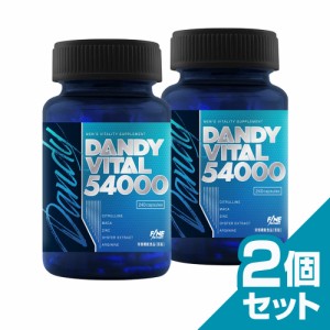 FINESPORTS ダンディバイタル54000 240粒30日分×2個セット 国産 シトルリン マカ アルギニン 亜鉛 国産  ※ポスト投函対応していません