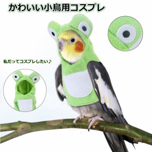 鳥 おもちゃ 小鳥 インコ オウム コスプレ カエル 服 プレゼント メール便 送料無料