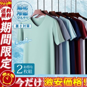 2点購入で200円OFF! 2枚組 ストレッチ 接触冷感 Tシャツ カットソー 半袖 メンズ 夏用 Vネック 吸汗速乾 伸縮性 UVカット 普段着 スポー