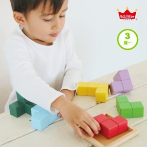 エドインター ブロック パズル 積み木 つみき 知育玩具 3歳 誕生日 男の子 女の子 4歳 木製 木のおもちゃ 木 子供 幼児 室内 遊び おしゃ