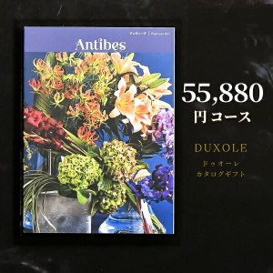 送料無料 カタログギフト ドゥオーレ 【アンティーブ】内祝い 出産内祝い グルメ 香典返し 出産祝い お肉 結婚祝い おしゃれ 出産 内祝 