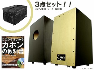 【代引きＯＫ！・クレカＯＫ！】専用ケースと教則本もセット！日本製でこの価格！カホン Cajon TCA-1 友澤 Tomozawa