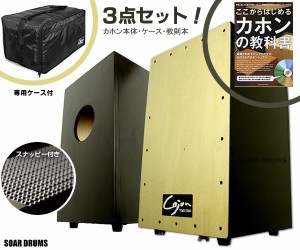 【代引きＯＫ！・クレカＯＫ！】専用ケースと教則本もセット！スナッピー付！日本製でこの価格！カホン Cajon TCA-2 友澤 Tomozawa