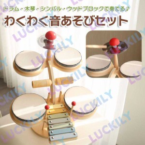 ドラム セット 子供用ミニドラムセット キッズ楽器 楽器おもちゃ