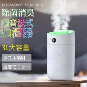 【ダブル噴射＆湿度モニター】卓上加湿器 超音波  USB給電式 ミニ加湿器 空焚き防止 スチーム 3L 大容量 静音 加湿量最大100ml/h 60時間