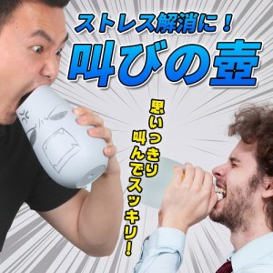 【最安値】ぐちの壺 叫びの壺 ストレス解消 防音カラオケ 叫ぶ ベントイライラや苦情 防音グッズ 不満 圧力 叫びポット 通気苦情を つぼ 