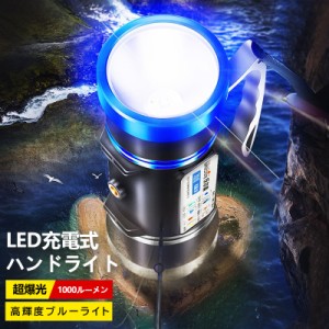 【送料無料】LEDブルーライト 夜釣り 集魚灯 夜間作業 専用 LEDライト ブルーライト 30W 驚くほど明るい 高輝度LED 釣りライト 防水 超軽