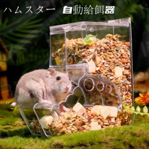 ハムスター 自動給餌器 小動物 自動給餌器 食器 ハムスター用 餌入れ 食器 ハリネズミ 自動 餌やり 食べやすい おしゃれ かわいい