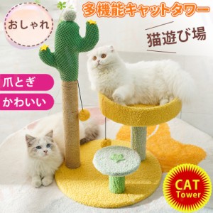 ペットベッド 猫 爪とぎ 爪研ぎ 通販 つめとぎ 爪ケア 猫用爪とぎ 爪とぎ用品 猫用品 爪ケア用品 ペット 爪 お手入れ ネコ ねこ かわいい