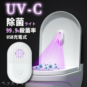  uv 除菌ライト 紫外線 ウイルス除去ランプ usb充電  操作簡単 家庭用 車内 部屋 オフィス ウイルス対策 コンパクト 小型 卓上 おしゃれ