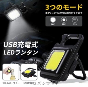 懐中電灯 LED 投光器 小型 作業灯 USB充電式 キーホルダー式 超小型 軽量 カラビナ せん抜き キャンプ アウトドア 防災グッズ