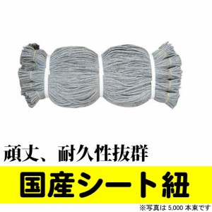 国産　シート紐　60cm　グレー(1,000本入)　PE結束紐850D　頑丈、耐久性抜群　足場　仮設　防音シート 　建築　シートひも【Z】