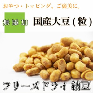 犬 おやつ お徳用 納豆 フリーズドライ お徳用 500g 犬 DOG 国産大豆 なっとう菌 無添加 メール便 送料無料配送 ポスト投函【DBP】