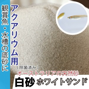 【20kg】めだか 観賞魚 アクアリウム 底砂 ホワイトサンド(白砂) 高温除菌済み サンド メダカ 飼育 熱帯魚 観賞魚 送料無料【DBA】