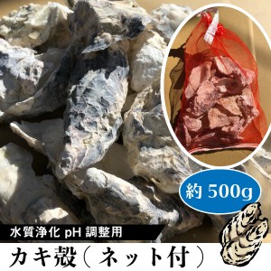 かき殻　カキガラ（洗浄済み） 1袋 約500g pH調整 水質改善 カキ殻 かきがら アクアリウム 観賞魚 飼育魚