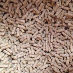 【PET】【オリエンタル酵母】SPS 新世界サル用メンテナンスフード【1kg】【N】