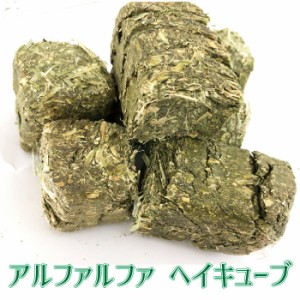 アメリカ産 アルファルファ ヘイキューブ 約30kg(1個あたり：約30g〜40g程度) 圧縮 牧草 Alfalfa 小動物 エサ キューブ状 ブリーダー【HT