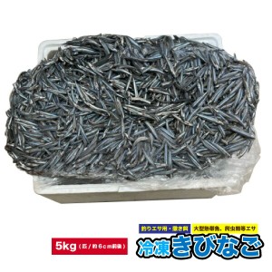 冷凍　釣りエサ　大型熱帯魚・爬虫類エサ　冷凍きびなご【5kg】(1匹：約6cm前後)　キビナゴ　撒き餌　ペット＜受注後クール便送料追加＞