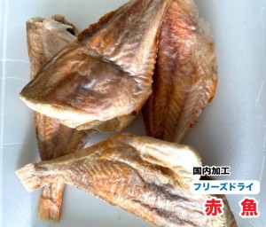 ペット用　手作り無添加 フリーズドライ　赤魚【50g】【国内加工】　あかうお　魚　フリーズドライ　犬　猫　おやつ【DBP】