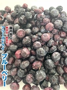 犬　小動物　おやつ　無添加 ペット フリーズドライ　ブルーベリー【50g】【国内加工】　ブルーベリー　目のケア　健康維持に　フリーズ