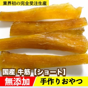 犬 おやつ 無添加 手作りおやつ　国産　牛筋【ショート】　200g　牛筋　牛アキレス同等の硬さ　松坂牛　犬　おやつ　メール便送料無料【D