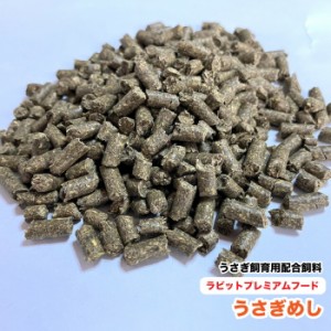 うさぎめし　ラビットプレミアムフード　【5kg】　ウサギ飼育用配合飼料　うさぎ飼料【DBP】