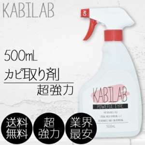 超強力カビ取り剤 業務用 500ml カビラボ (超強力タイプ ユニットバス タイル貼りのお風呂コンクリート 砂壁 カビラボ)