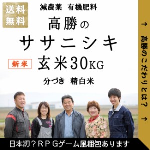 【令和５年新米】新米 減農薬 有機肥料 使用 お米 冷めても美味い 高勝の ササニシキ 宮城県桃生町産 30kg 令和５年産 選べる精米 玄米 3