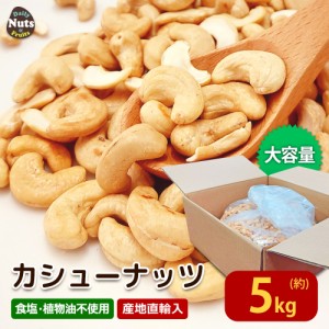 カシューナッツ 5kg (1BOX) 大容量 ローストカシューナッツ 産地直輸入 素焼き ロースト 無塩 無添加 お菓子作り 製パン 製菓 業務用 防