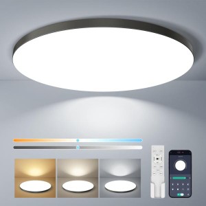 Coizabera LED シーリングライト 6畳 28W 3600lm 調光調色 おしゃれ 天井照明器具 豆電球常夜灯付き 電気 蛍光灯 6畳〜8